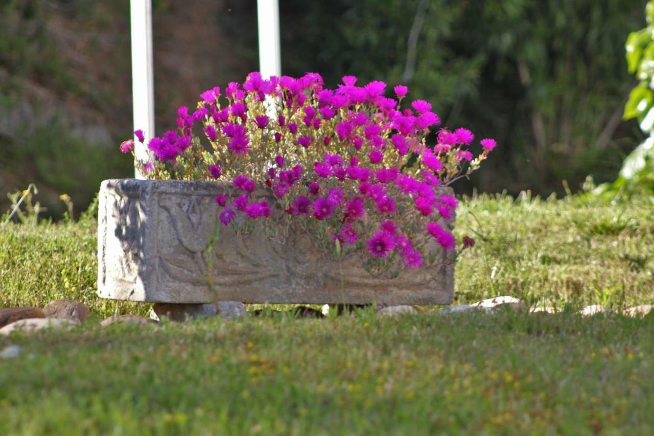 Apartamento Embalse De Orellana *