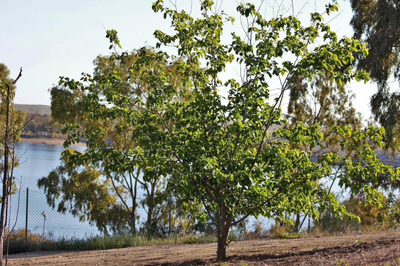 Appartamento Embalse De Orellana