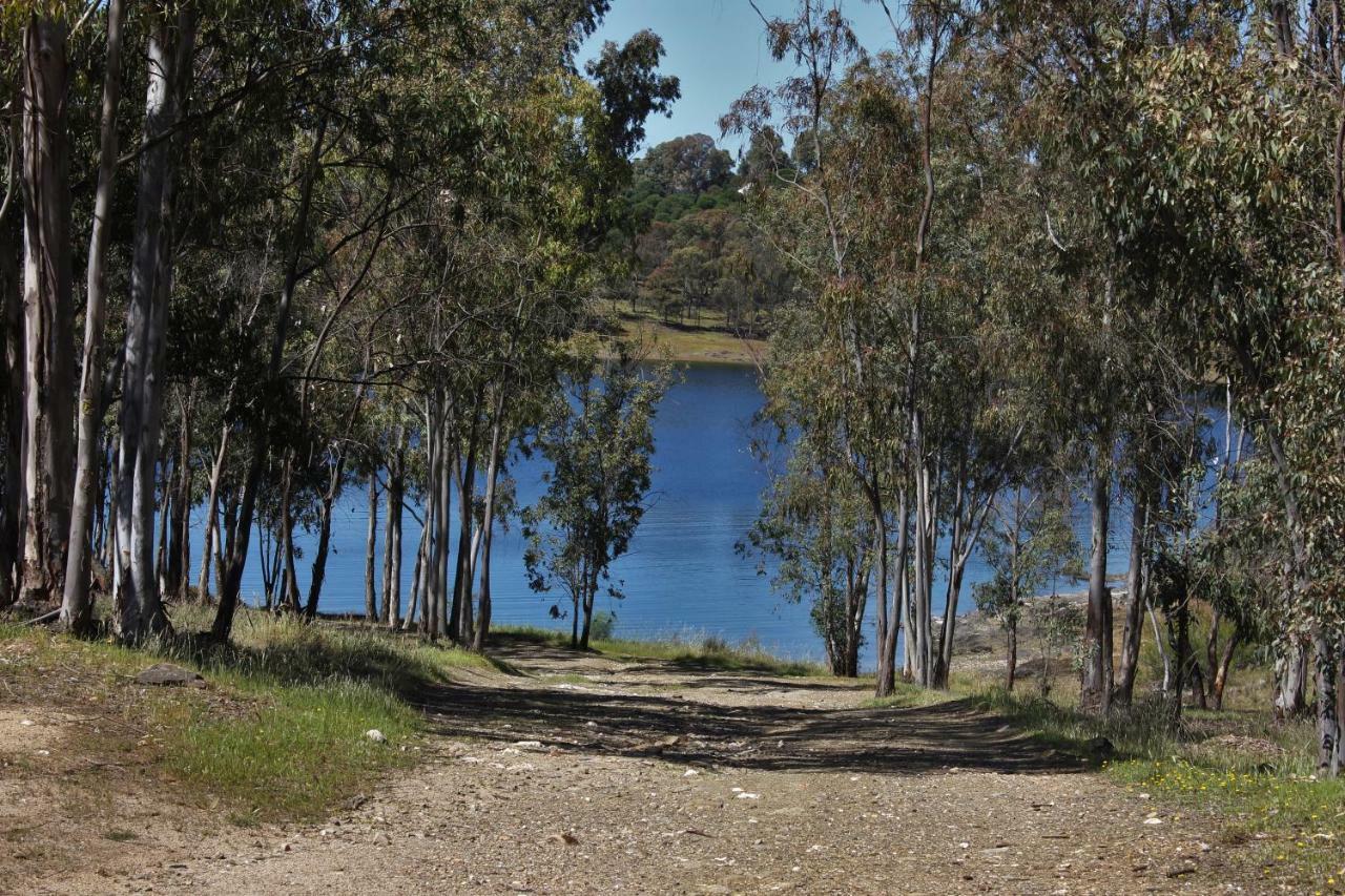 Embalse De Orellana *